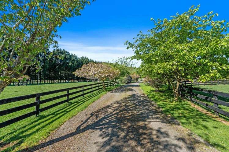 48 Piripiri Road Pohangina Valley_28