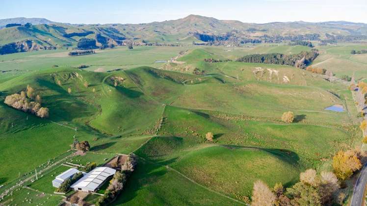30 Mangahei Road Dannevirke_8