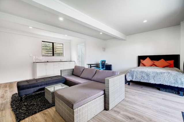 29 Ellis Avenue Mount Roskill_4