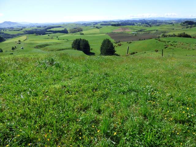 2229 State Highway 31, Kawhia Road Otorohanga_3