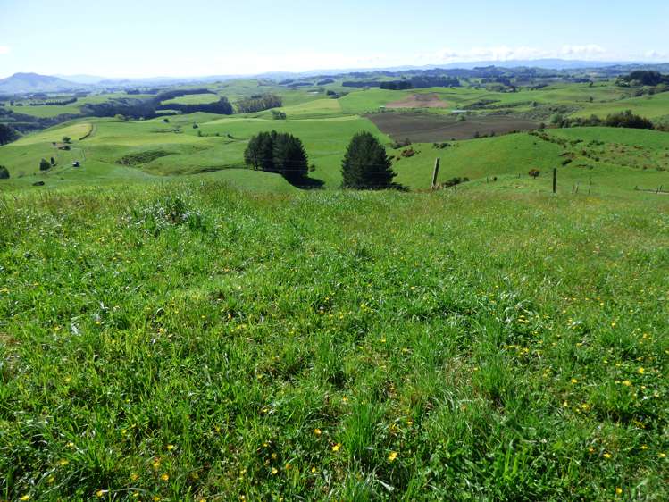 2229 State Highway 31, Kawhia Road Otorohanga_3
