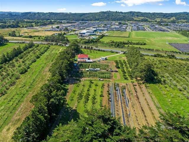 529 State Highway 16 Kumeu_4