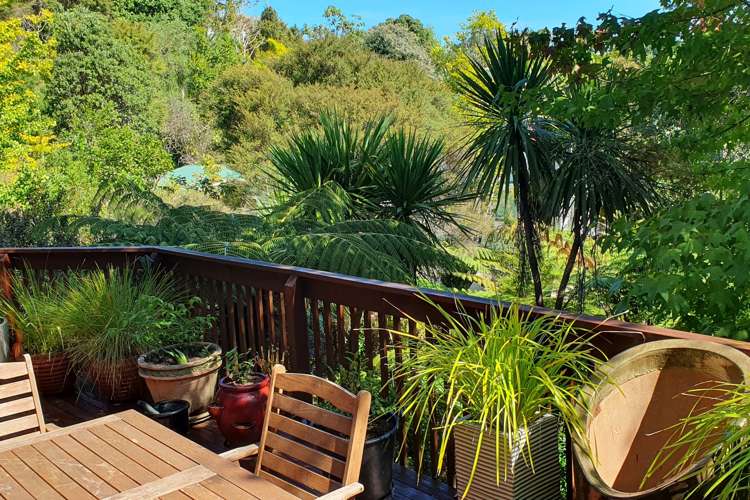 2 Otuturu Creek Road Thames_14