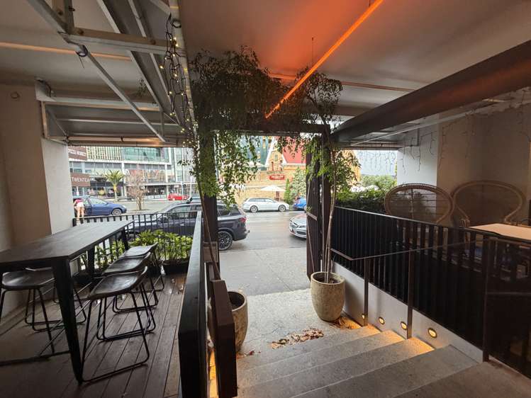 5 Rose Road Grey Lynn_7