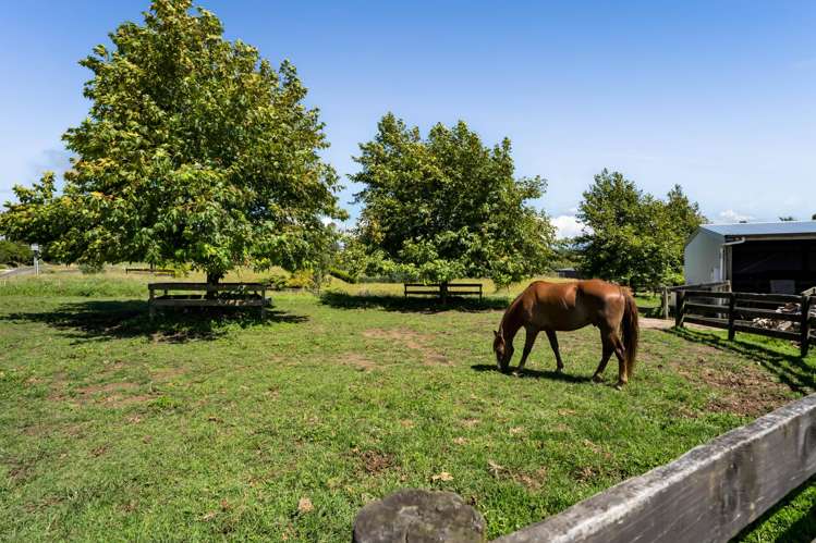 88 Te Arei Road East Lepperton_10