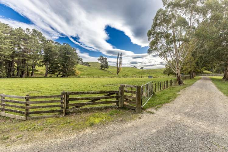 467 Waitahora Valley Road Dannevirke_33