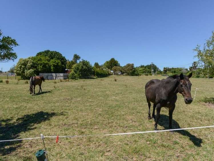 17 The Loop Meeanee_17