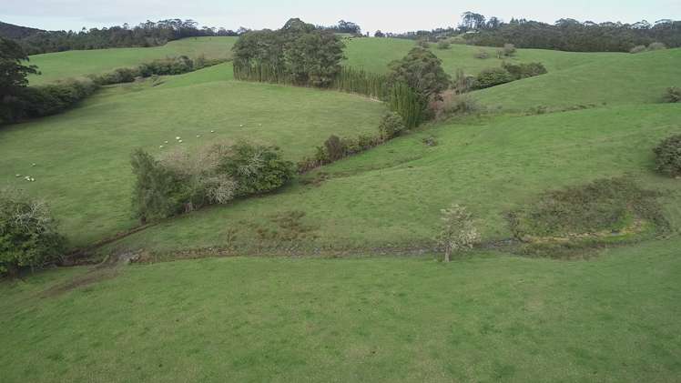 59F Riddell Road Kerikeri_6