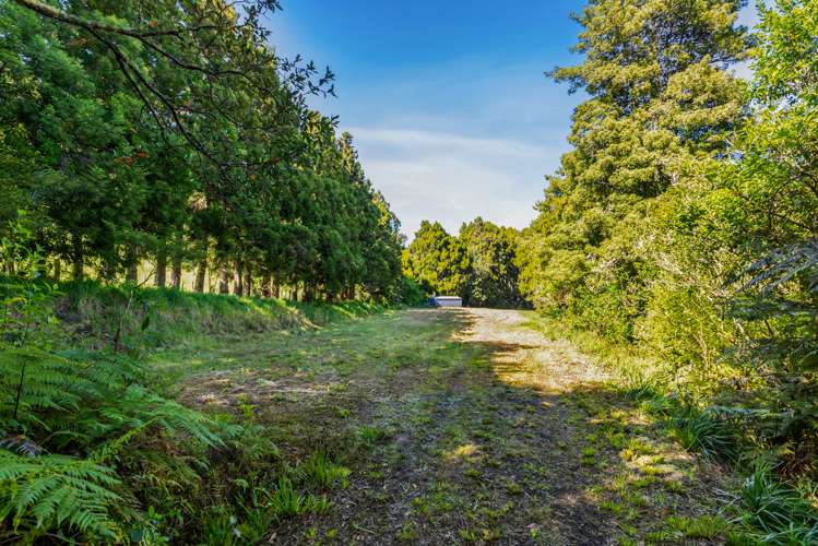 565 Whitford Road Whitford_11