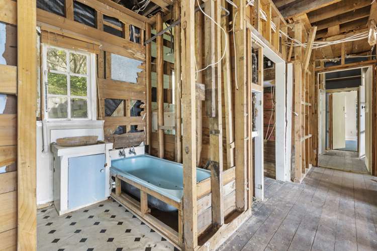 8 Wilkinson Street Oriental Bay_10