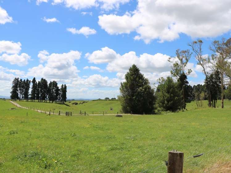 154 Matanuku Road Putaruru_22