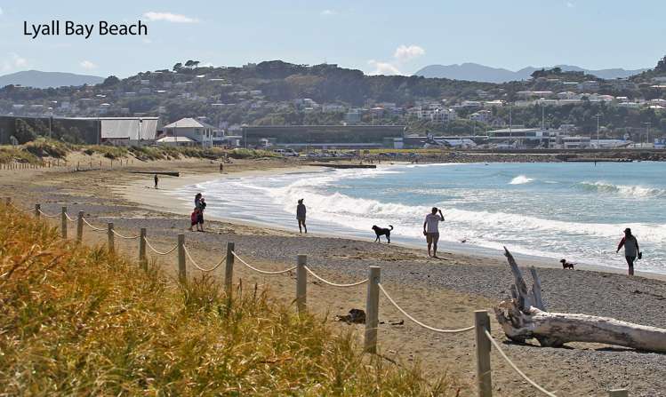 16/76 Freyberg Street Lyall Bay_15