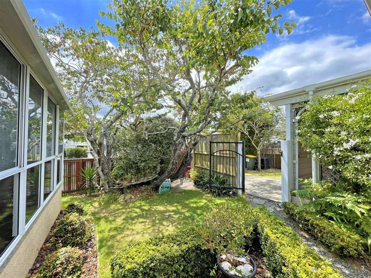 19a Amaru Road One Tree Hill_19
