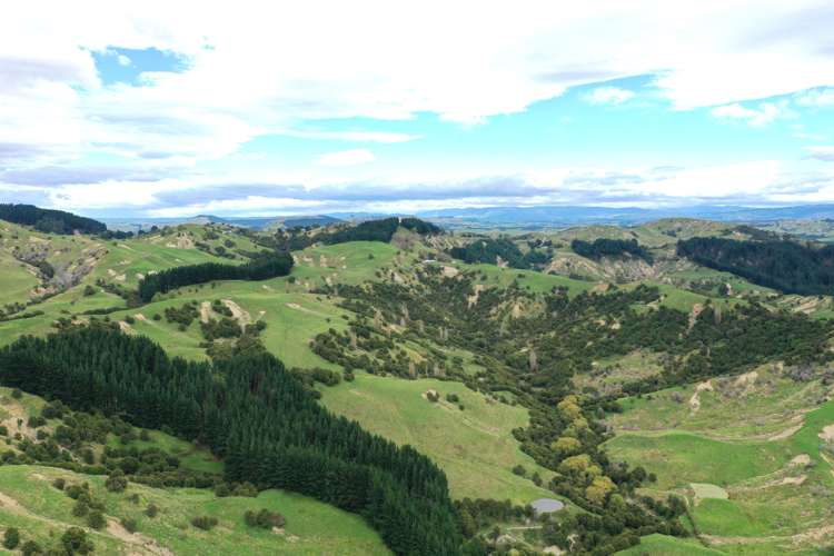 643 Glengarry Road Puketapu_12