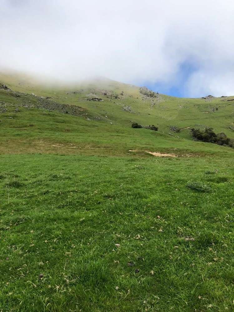 4990 Christchurch Akaroa Road Little River_9