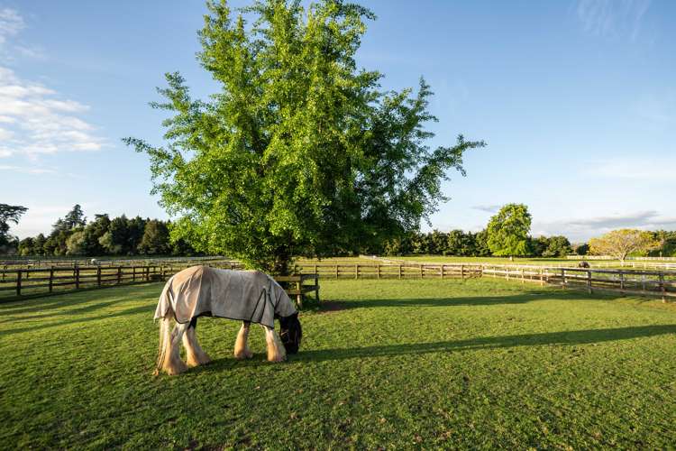 91 Forrest Road Cambridge_9