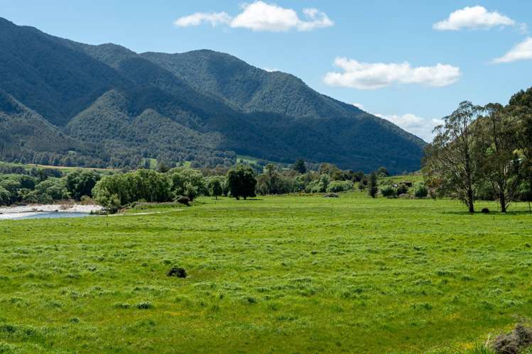 2154 Shenandoah Highway Murchison_6