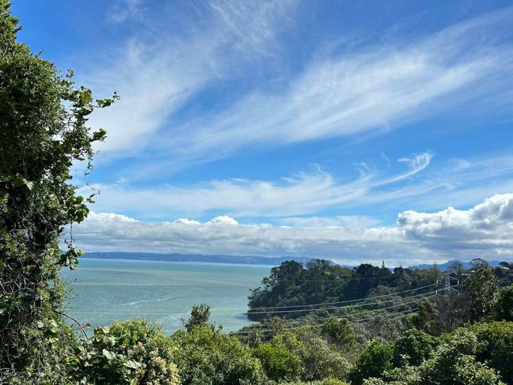 354 Hillsborough Road Hillsborough_5