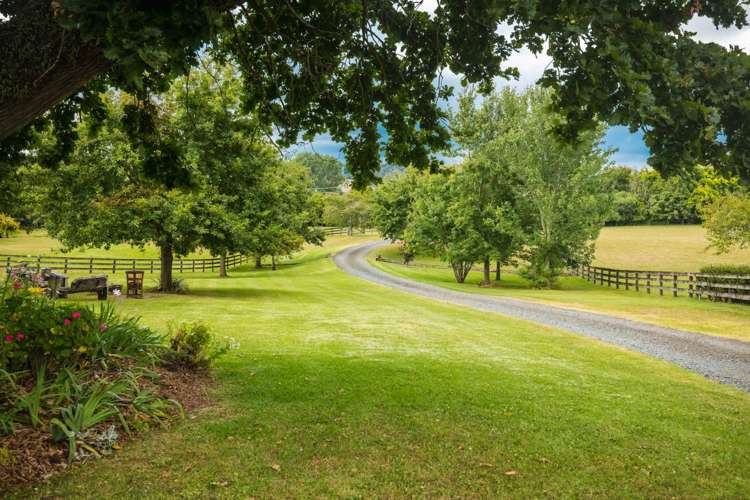 1559 Kahikatea Flat Road Kaukapakapa_6