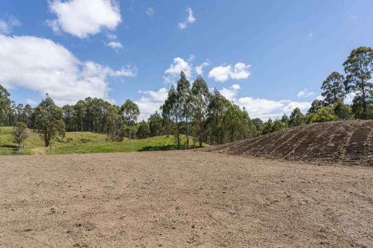 173A Otake Road Kinloch_8