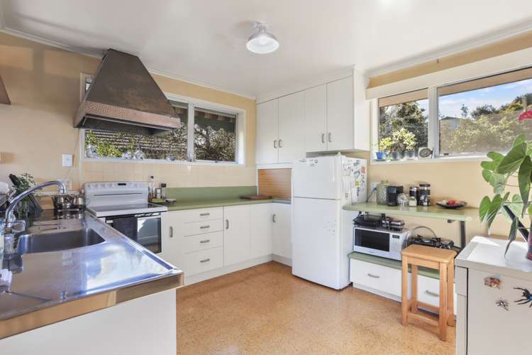 113 Tanekaha Road Titirangi_12