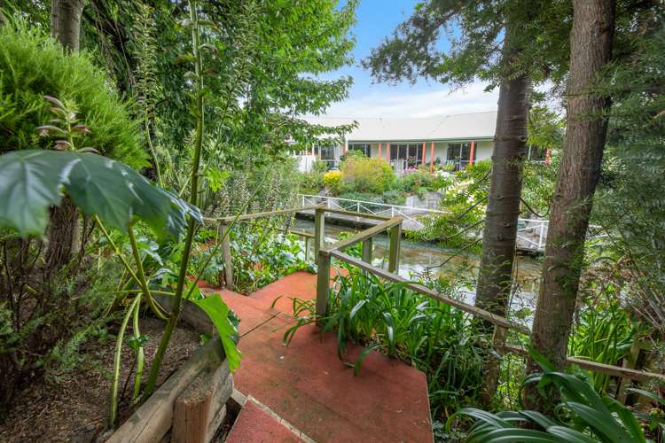 23 Colemans Road Springlands_54