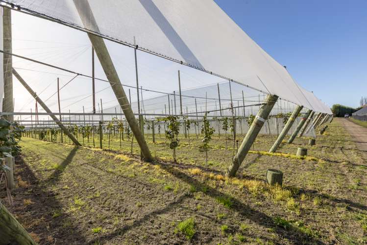 71 Franklin Road Central Hawkes Bay Coastal_7