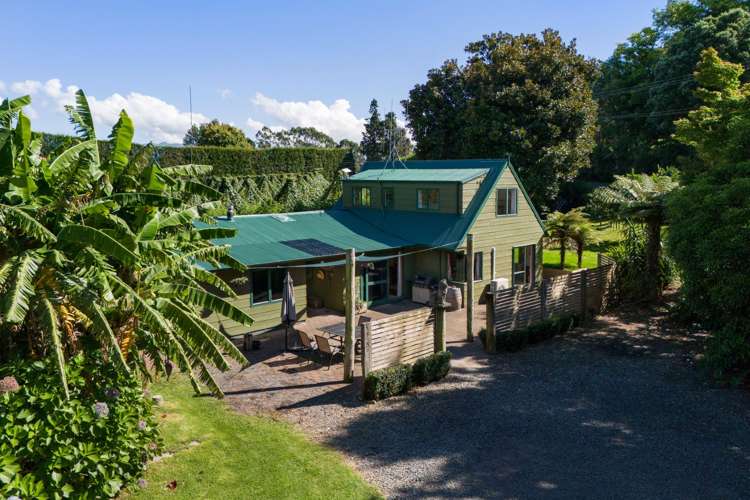 73 Stewart Road Whakamarama_18