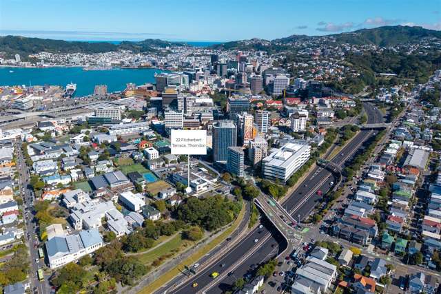 Margan House, 21 Fitzherbert Terrace Thorndon_1