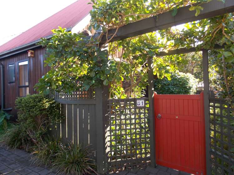 81 Onslow Avenue Epsom_9