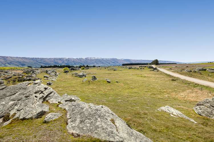 5622 Middlemarch-Sutton Road Middlemarch_7