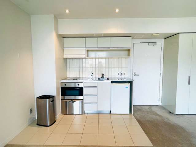 516/77 Halsey Street 10015_1