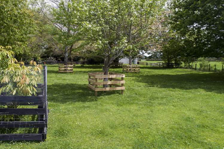 985 Tower Road Turangaomoana_1