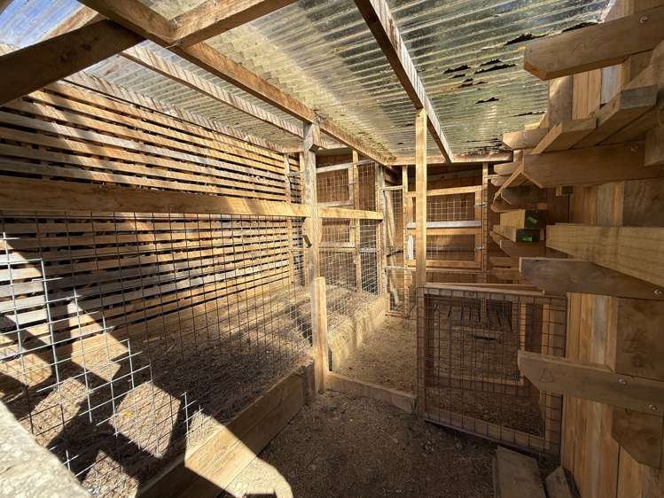 427 Harrington Mill Road Tahakopa_7