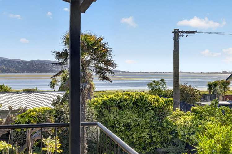 114 Rocking Horse Road Southshore_3