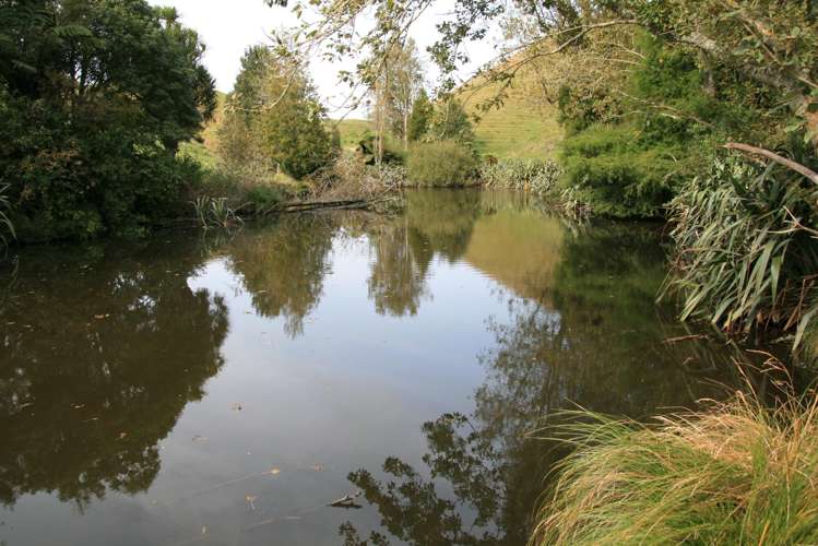 292 Gordon Road Toko_9