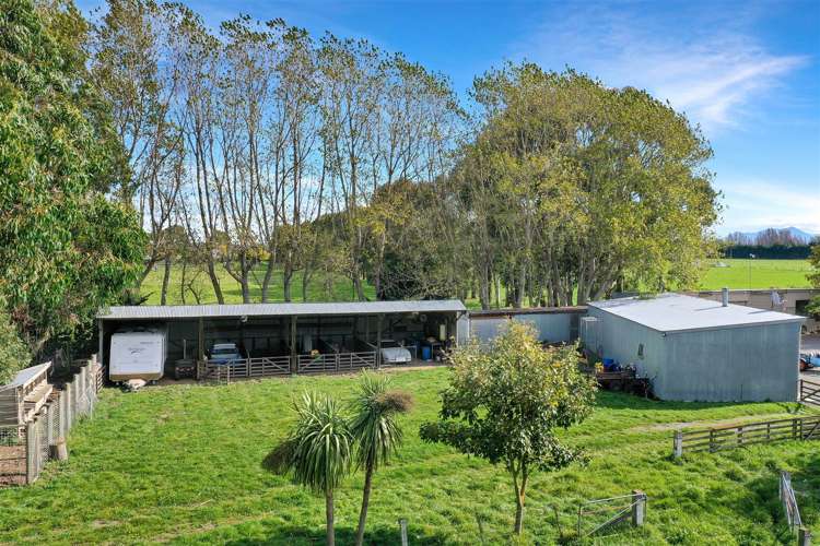 128 Johnstone Street Tinwald_29