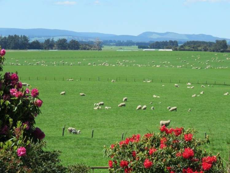 136 Kapuka North Road Wyndham Surrounds_0