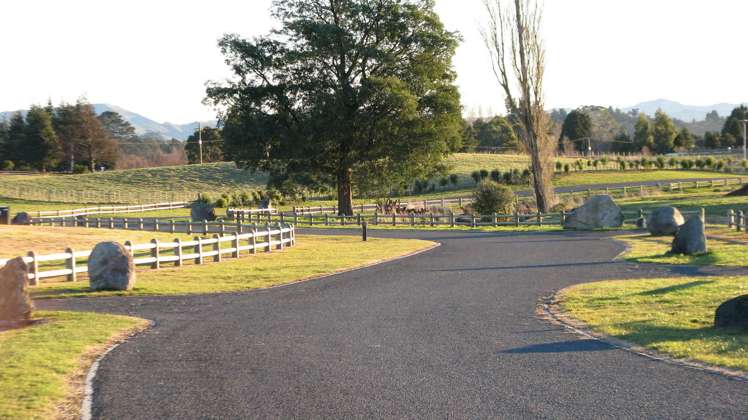 Ruapehu Road Ohakune_1