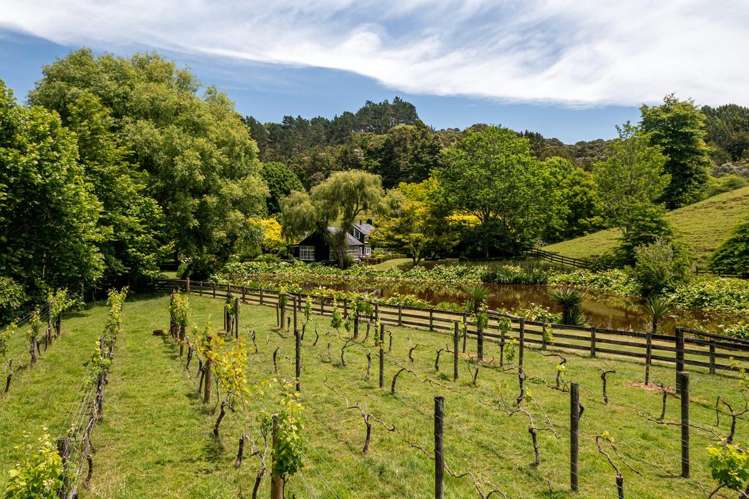 186 Twilight Road Clevedon_6