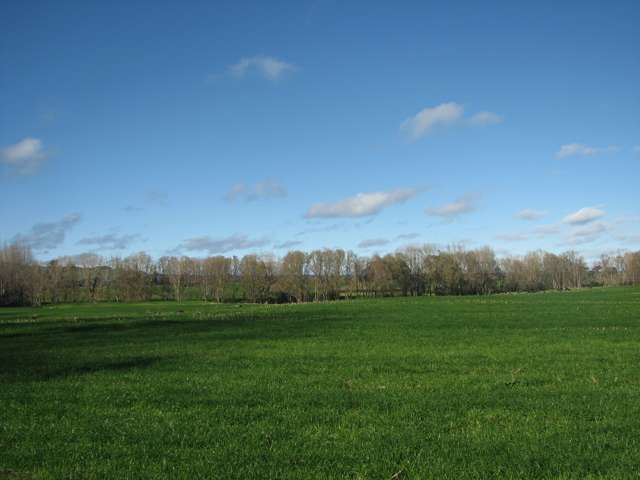 Smith Road Otorohanga_3