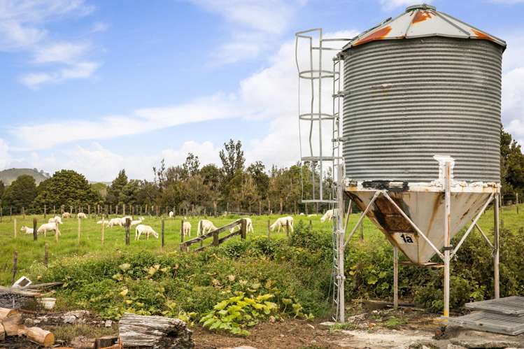 54 Thorn Road Waihi_24