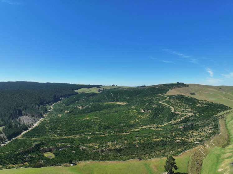 Waitahuna Gully Road Waitahuna Gully_9