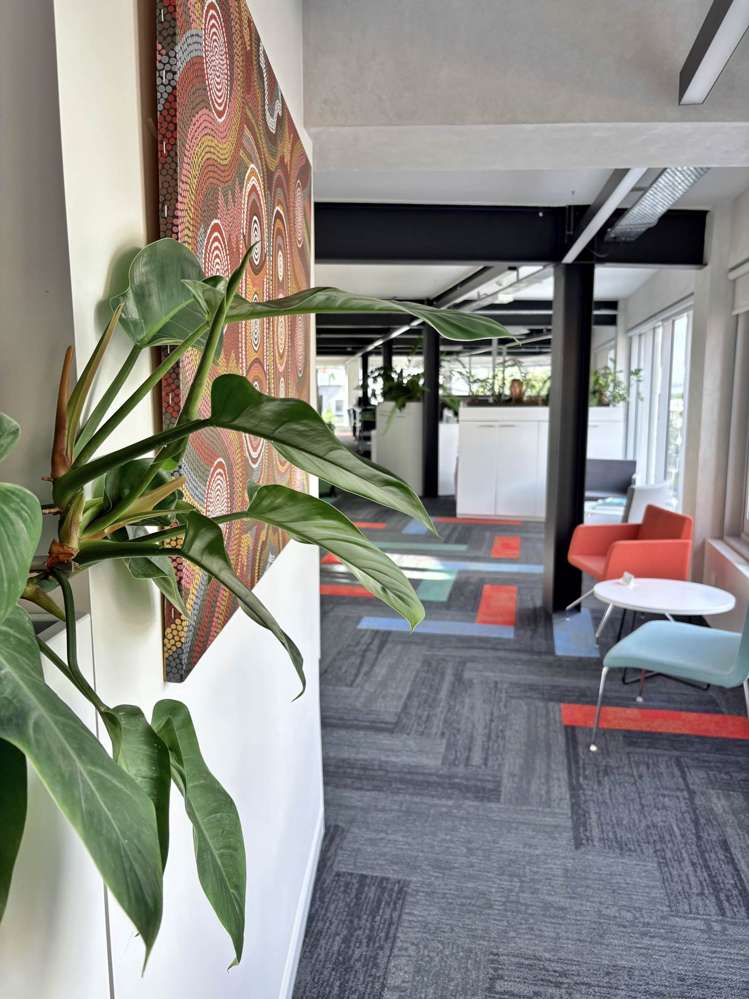 8-12 The Promenade Takapuna_14