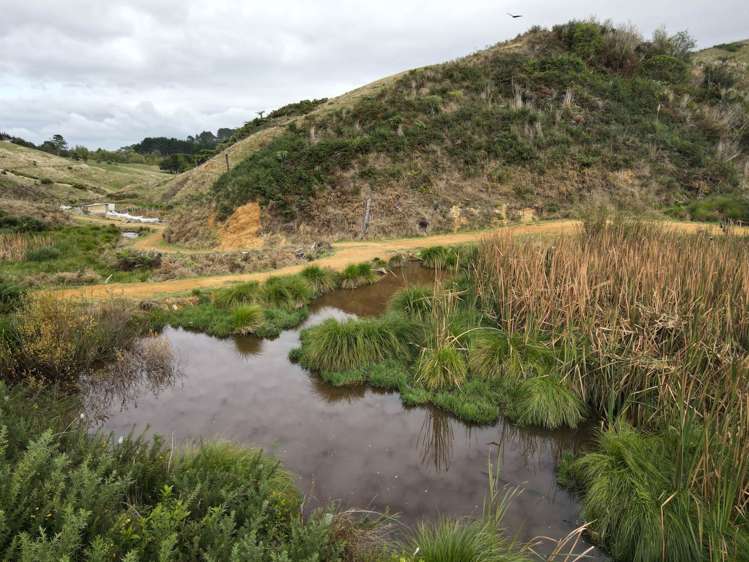 37 Waikaretu Wairamarama Road Glen Murray_21