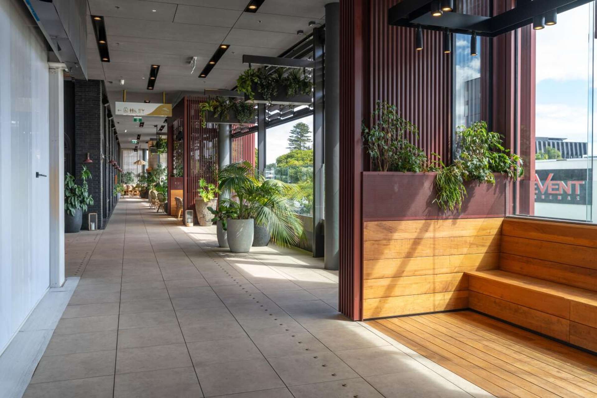 Suite 102, 38 Elizabeth Street City Centre_0