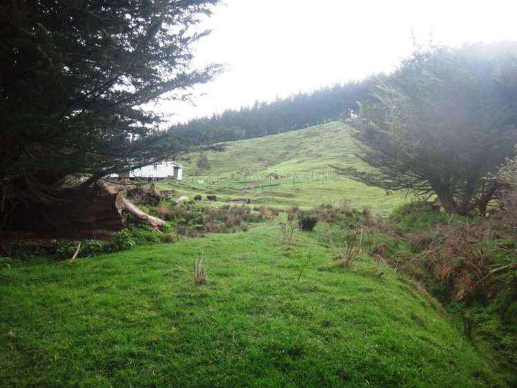 18 Kirk Street Matawai_26