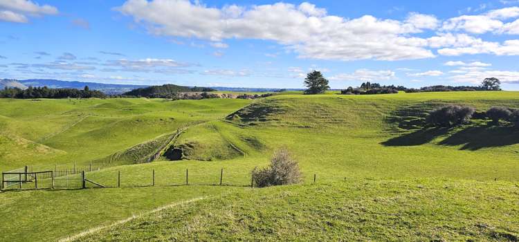 517 Te Waerenga Road Hamurana_20