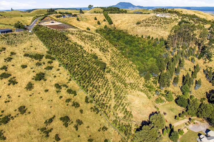 111 Ross Rise Kinloch_13