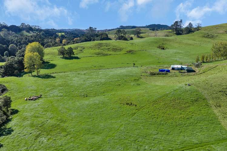 Lot 2 Adams Road Glenbervie_20